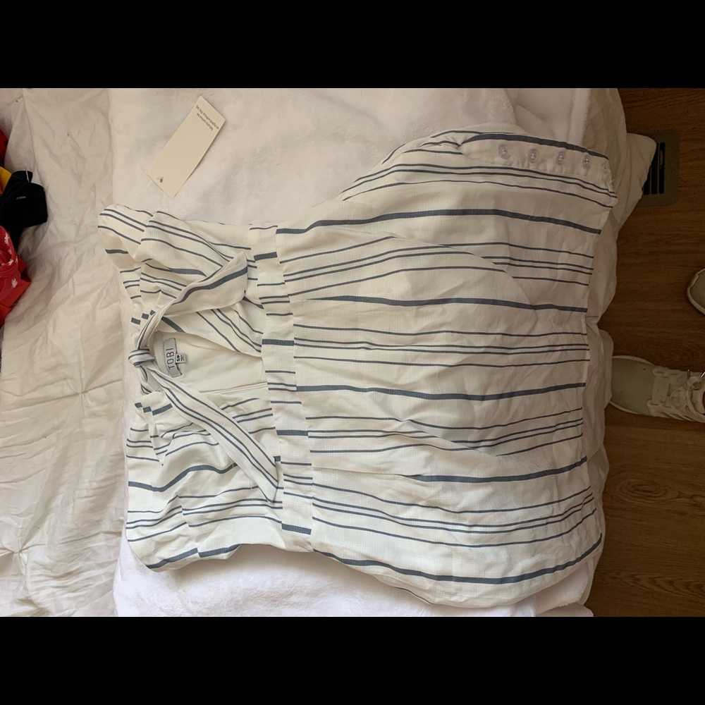 NWT Tobi Blue striped dress